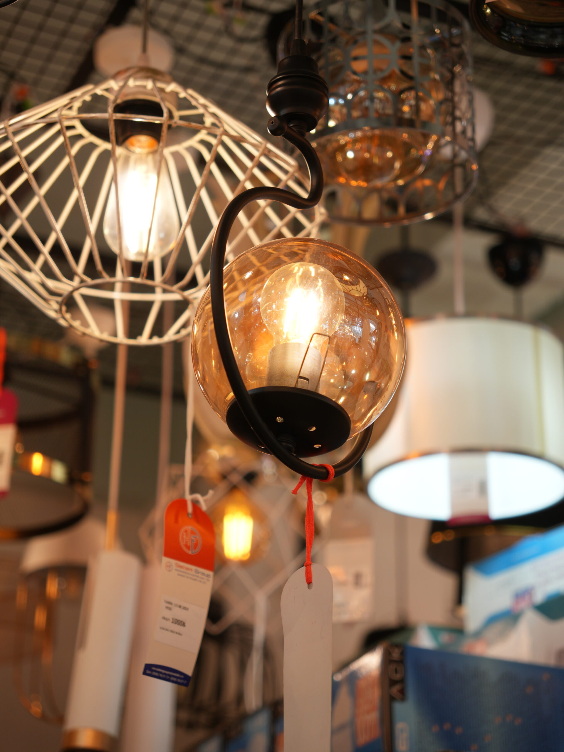 DSC09893